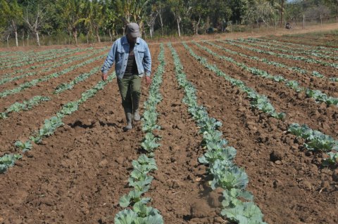 campesino-francisco-oliva-finca-mariposas.jpg