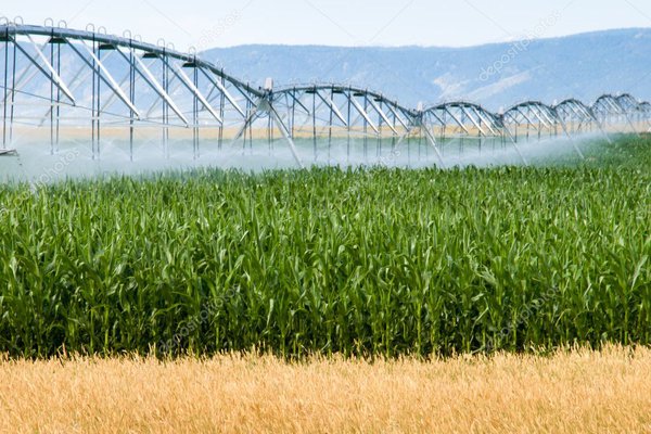 depositphotos_6723305-stock-photo-farm-irrigation.jpg