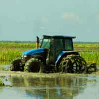 Revista Ingeniería Agrícola